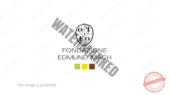 fondazione_edmundmach