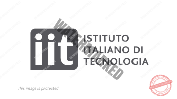 istitutoitalianotecnologia