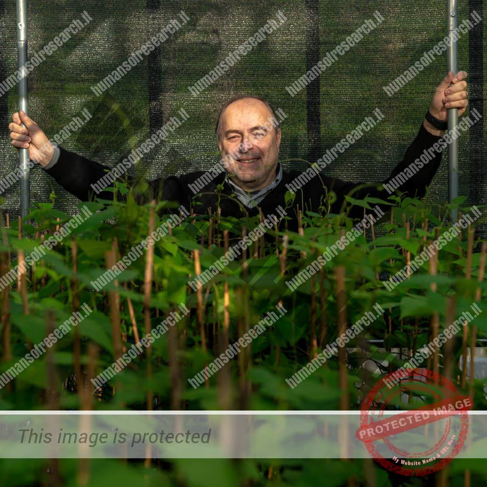 roberto-papa-ancona-preview