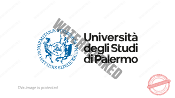 universita-palermo